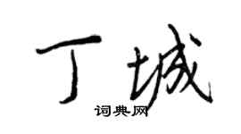 王正良丁城行书个性签名怎么写