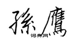王正良孙鹰行书个性签名怎么写