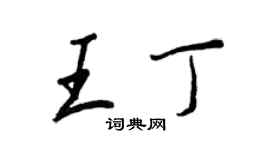 王正良王丁行书个性签名怎么写