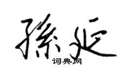 王正良孙延行书个性签名怎么写