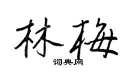 王正良林梅行书个性签名怎么写