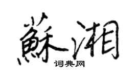 王正良苏湘行书个性签名怎么写