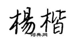 王正良杨楷行书个性签名怎么写