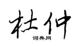 王正良杜仲行书个性签名怎么写