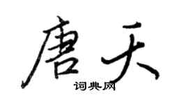 王正良唐夭行书个性签名怎么写