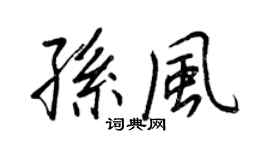 王正良孙风行书个性签名怎么写