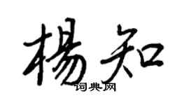 王正良杨知行书个性签名怎么写
