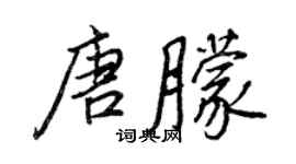 王正良唐朦行书个性签名怎么写