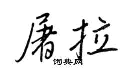 王正良屠拉行书个性签名怎么写