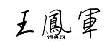 王正良王凤军行书个性签名怎么写