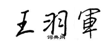 王正良王羽军行书个性签名怎么写