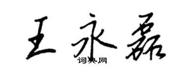 王正良王永磊行书个性签名怎么写