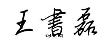 王正良王书磊行书个性签名怎么写