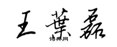 王正良王叶磊行书个性签名怎么写