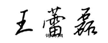王正良王蕾磊行书个性签名怎么写