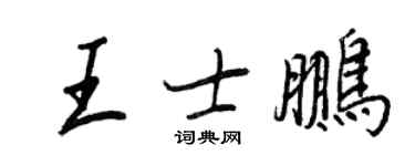 王正良王士鹏行书个性签名怎么写