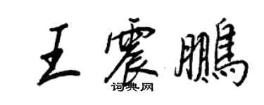 王正良王震鹏行书个性签名怎么写