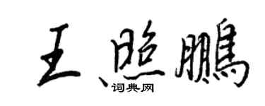 王正良王照鹏行书个性签名怎么写