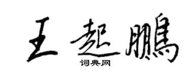 王正良王起鹏行书个性签名怎么写