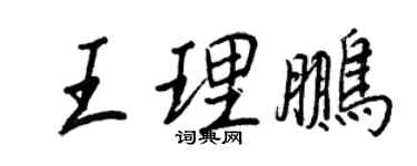 王正良王理鹏行书个性签名怎么写