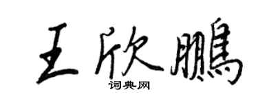 王正良王欣鹏行书个性签名怎么写