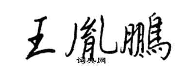 王正良王胤鹏行书个性签名怎么写