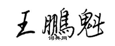 王正良王鹏魁行书个性签名怎么写