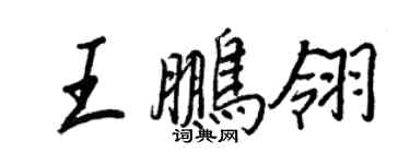王正良王鹏翎行书个性签名怎么写