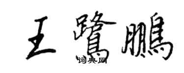 王正良王鹭鹏行书个性签名怎么写