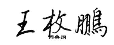 王正良王枚鹏行书个性签名怎么写