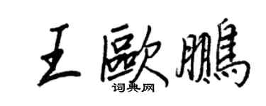 王正良王欧鹏行书个性签名怎么写
