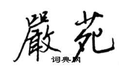 王正良严苑行书个性签名怎么写