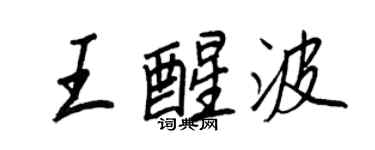 王正良王醒波行书个性签名怎么写
