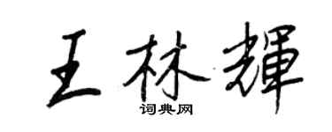 王正良王林辉行书个性签名怎么写