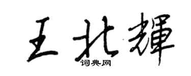 王正良王北辉行书个性签名怎么写
