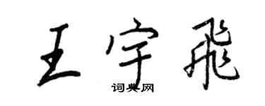 王正良王宇飞行书个性签名怎么写