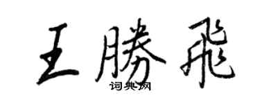 王正良王胜飞行书个性签名怎么写