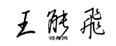 王正良王能飞行书个性签名怎么写