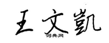 王正良王文凯行书个性签名怎么写