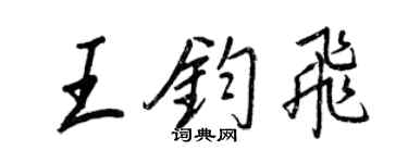 王正良王钧飞行书个性签名怎么写