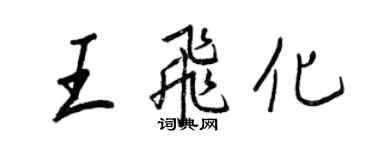 王正良王飞化行书个性签名怎么写