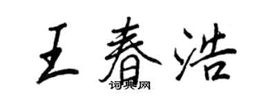 王正良王春浩行书个性签名怎么写