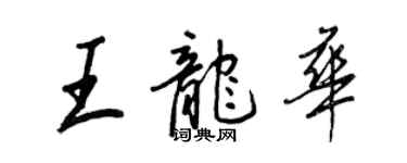 王正良王龙华行书个性签名怎么写