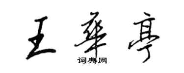 王正良王华亭行书个性签名怎么写