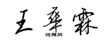 王正良王华霖行书个性签名怎么写