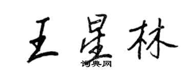 王正良王星林行书个性签名怎么写
