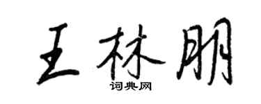 王正良王林朋行书个性签名怎么写
