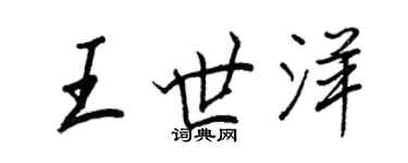 王正良王世洋行书个性签名怎么写