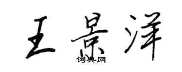 王正良王景洋行书个性签名怎么写