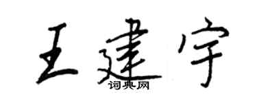王正良王建宇行书个性签名怎么写